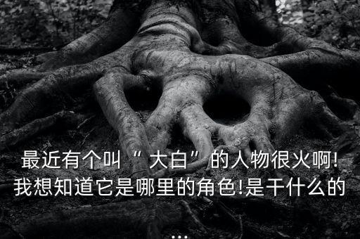 最近有個(gè)叫“ 大白”的人物很火啊!我想知道它是哪里的角色!是干什么的...