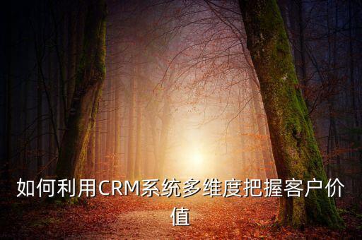 如何利用CRM系統(tǒng)多維度把握客戶價值