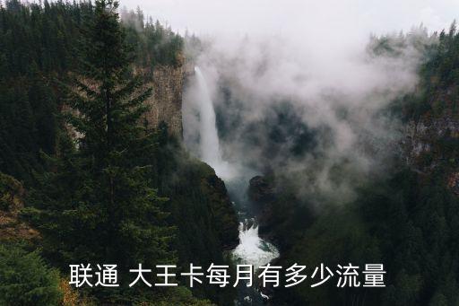 聯(lián)通 大王卡每月有多少流量