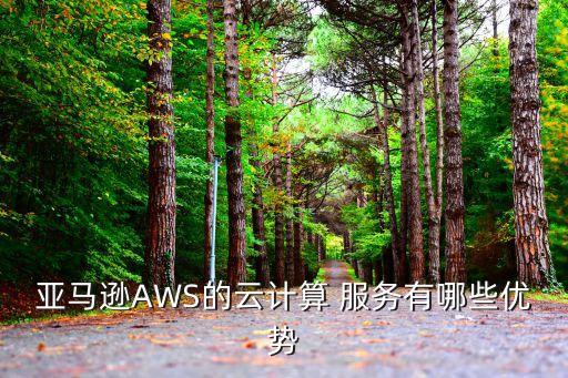 aws數(shù)據(jù)分析服務(wù)