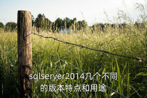 數(shù)據(jù)庫排名 2014