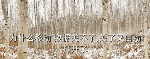 為什么移動 數(shù)據(jù)關(guān)不了,關(guān)了又自動打開了