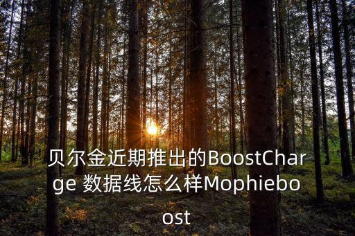 貝爾金近期推出的BoostCharge 數據線怎么樣Mophieboost