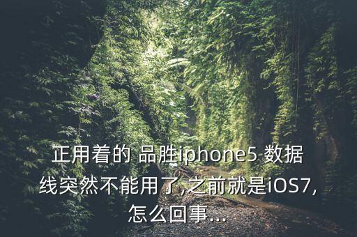 正用著的 品勝iphone5 數(shù)據(jù)線突然不能用了,之前就是iOS7,怎么回事...
