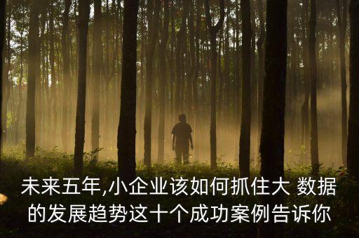 未來五年,小企業(yè)該如何抓住大 數(shù)據(jù)的發(fā)展趨勢這十個成功案例告訴你