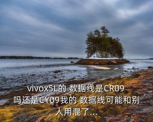 vivox5L的 數(shù)據(jù)線是CR09嗎還是CY09我的 數(shù)據(jù)線可能和別人用混了...