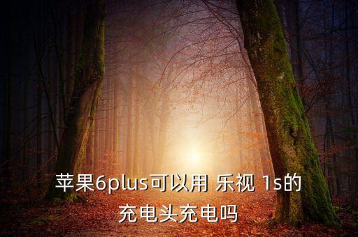 蘋果6plus可以用 樂視 1s的充電頭充電嗎