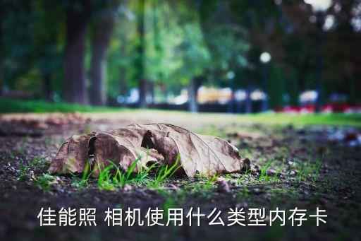 佳能相機(jī) 數(shù)據(jù)卡