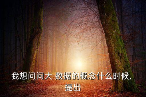 我想問問大 數(shù)據(jù)的概念什么時候, 提出