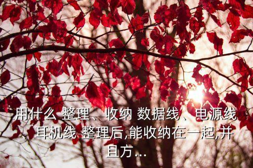 用什么 整理、收納 數(shù)據(jù)線、電源線、耳機(jī)線 整理后,能收納在一起,并且方...