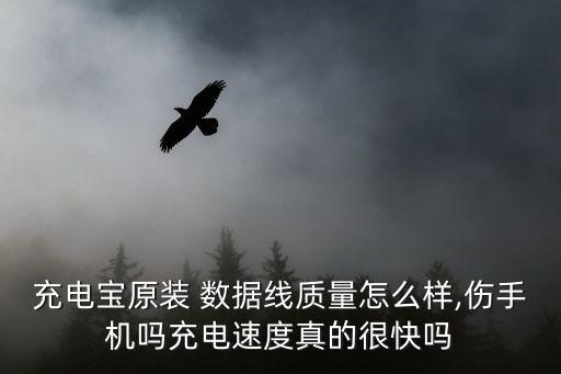 充電寶原裝 數(shù)據(jù)線質(zhì)量怎么樣,傷手機(jī)嗎充電速度真的很快嗎