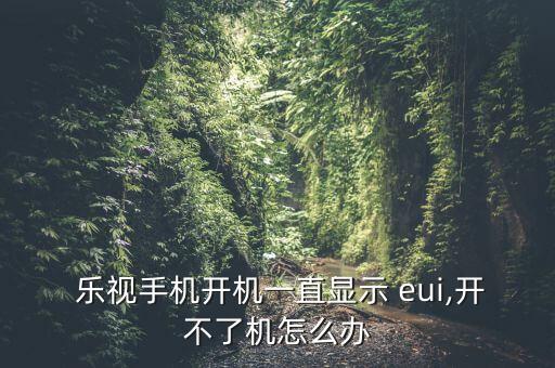  樂視手機(jī)開機(jī)一直顯示 eui,開不了機(jī)怎么辦