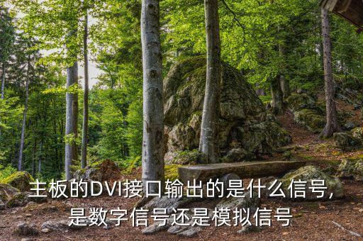 主板的DVI接口輸出的是什么信號,是數(shù)字信號還是模擬信號