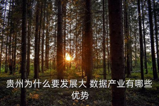 貴州為什么要發(fā)展大 數(shù)據(jù)產(chǎn)業(yè)有哪些 優(yōu)勢(shì)