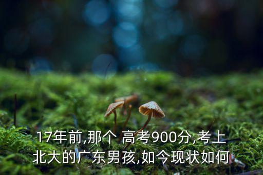 17年前,那個 高考900分,考上北大的廣東男孩,如今現(xiàn)狀如何
