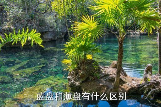  藍(lán)盤和薄盤有什么區(qū)別
