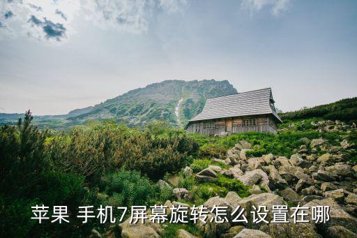  蘋(píng)果 手機(jī)7屏幕旋轉(zhuǎn)怎么設(shè)置在哪