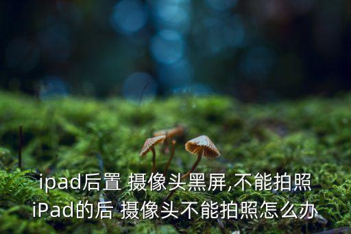 平板攝像頭數(shù)據(jù)線,攝像頭用數(shù)據(jù)線怎么連接手機(jī)