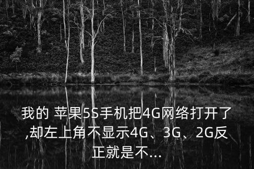 蘋果5s語音與數據