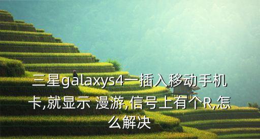 S4數(shù)據(jù)漫游,iphone數(shù)據(jù)漫游要打開嗎