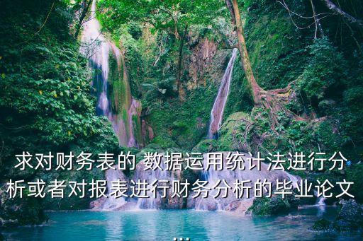 求對財務表的 數據運用統計法進行分析或者對報表進行財務分析的畢業(yè)論文...