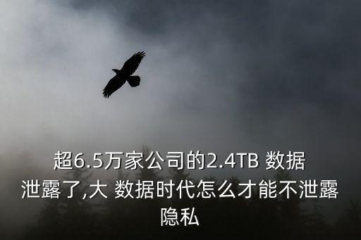 超6.5萬家公司的2.4TB 數(shù)據(jù)泄露了,大 數(shù)據(jù)時(shí)代怎么才能不泄露隱私