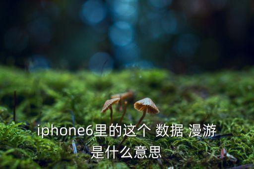 iphone6里的這個(gè) 數(shù)據(jù) 漫游是什么意思