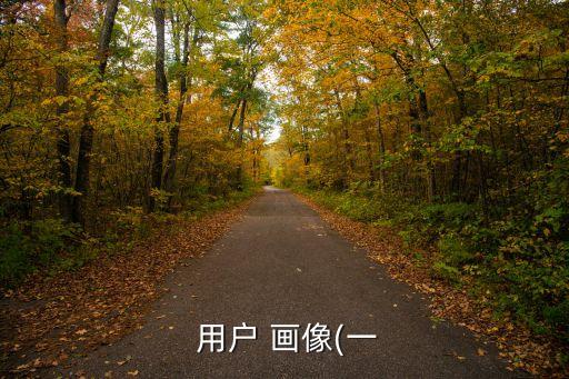  用戶 畫像(一