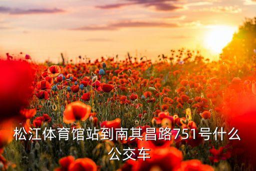 公交離線數(shù)據(jù)包,bigemap離線數(shù)據(jù)包