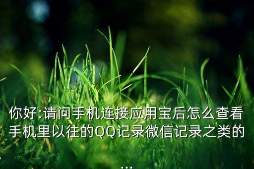 你好:請(qǐng)問手機(jī)連接應(yīng)用寶后怎么查看手機(jī)里以往的QQ記錄微信記錄之類的...