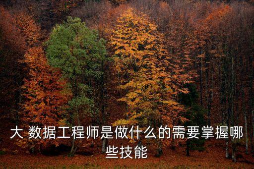 大 數(shù)據(jù)工程師是做什么的需要掌握哪些技能
