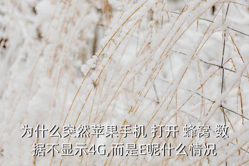 4s蜂窩數(shù)據(jù)打開沒e,蘋果手機(jī)蜂窩數(shù)據(jù)需要打開嗎