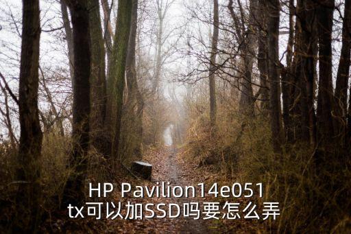 Pavilion 14-e051TX電腦數(shù)據(jù)線