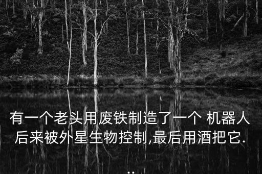 有一個老頭用廢鐵制造了一個 機器人后來被外星生物控制,最后用酒把它...