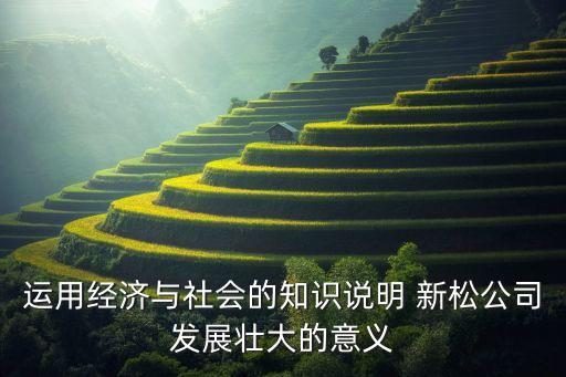 運(yùn)用經(jīng)濟(jì)與社會(huì)的知識(shí)說明 新松公司發(fā)展壯大的意義