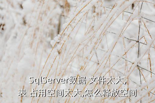 SqlServer數(shù)據(jù) 文件太大,表 占用空間太大,怎么釋放空間