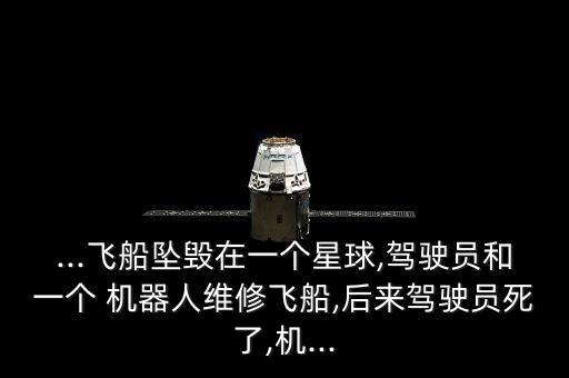 勿忘我 機器人