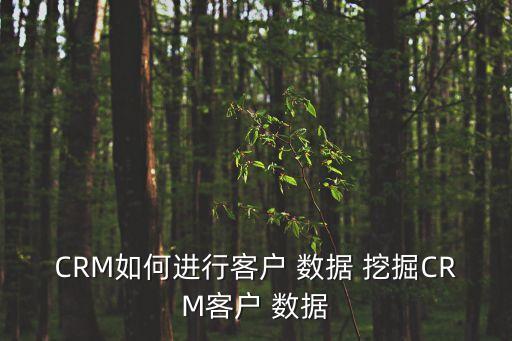CRM如何進行客戶 數(shù)據(jù) 挖掘CRM客戶 數(shù)據(jù)