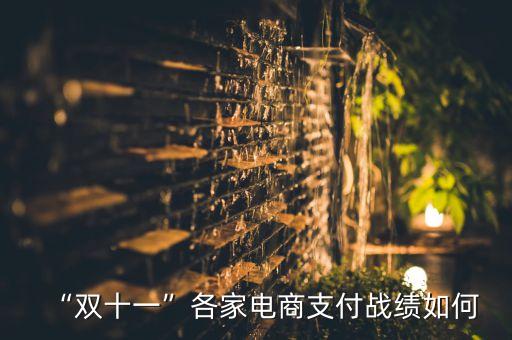 “雙十一”各家電商支付戰(zhàn)績?nèi)绾? class=
