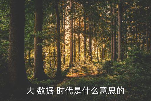 大 數(shù)據(jù) 時代是什么意思的