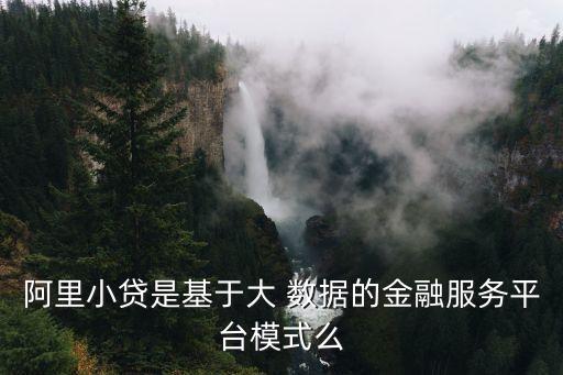 阿里小貸是基于大 數(shù)據(jù)的金融服務(wù)平臺(tái)模式么
