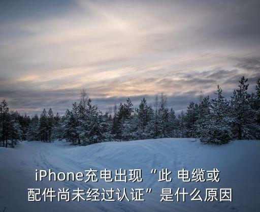 蘋果5數(shù)據(jù)線此電纜或配件,蘋果此電纜或配件尚未經過認證怎么辦