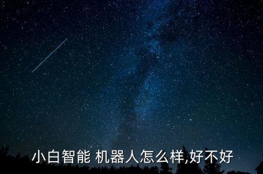 機(jī)器人小白玩不明白,小白機(jī)器人app下載