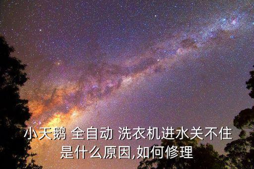 小天鵝全自動波輪洗衣機維修