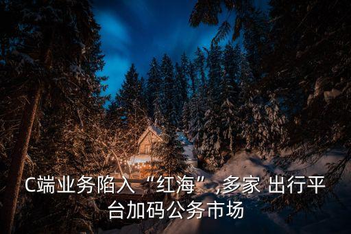 C端業(yè)務(wù)陷入“紅?！?多家 出行平臺加碼公務(wù)市場