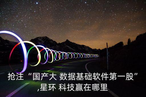 搶注“國(guó)產(chǎn)大 數(shù)據(jù)基礎(chǔ)軟件第一股”,星環(huán) 科技贏在哪里