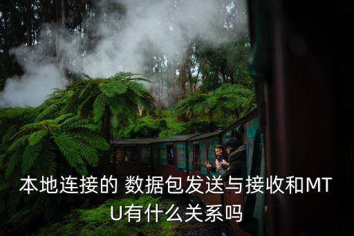 物聯(lián)網(wǎng) 發(fā)數(shù)據(jù)包 合適