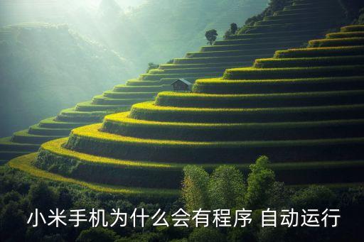  小米手機(jī)為什么會(huì)有程序 自動(dòng)運(yùn)行