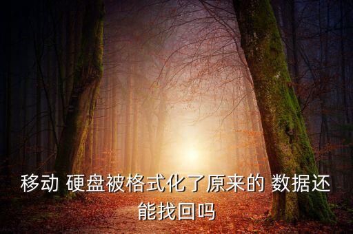 達(dá)思硬盤(pán)數(shù)據(jù)恢復(fù),硬盤(pán)數(shù)據(jù)恢復(fù)花了500