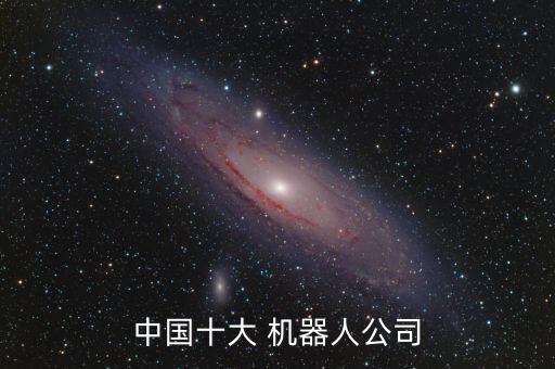 中國十大 機(jī)器人公司